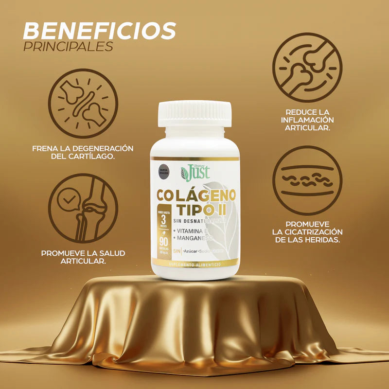 Colágeno Tipo 2 + Vitamina E y Manganeso 90 Cápsulas-Olnatura Just
